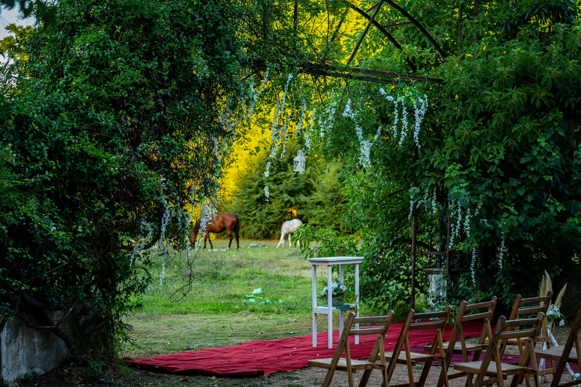 Ceremonia de boda en jardín con alfombra roja Uruguay — Luréa Studio